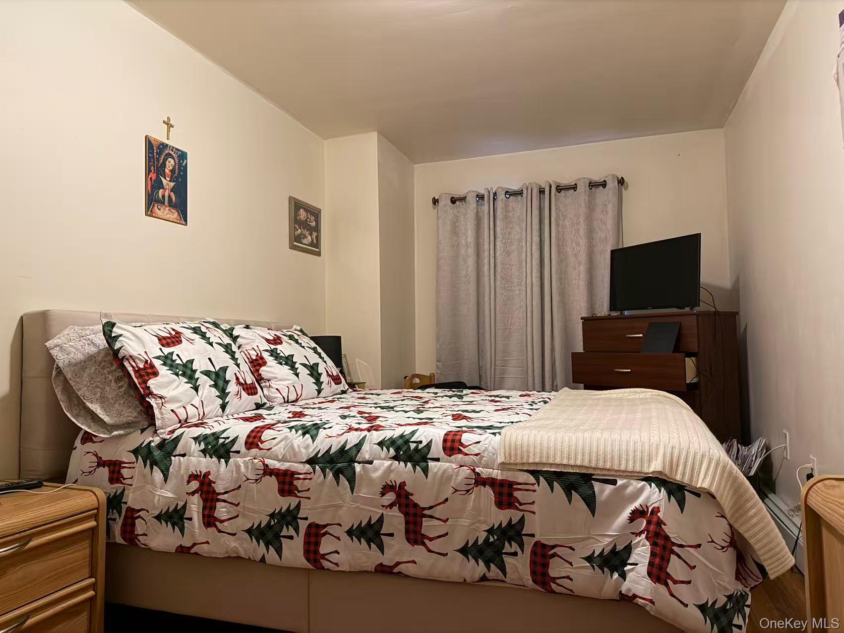 Single Family 218th Street Queens, NY 11428, MLS-1033426-7