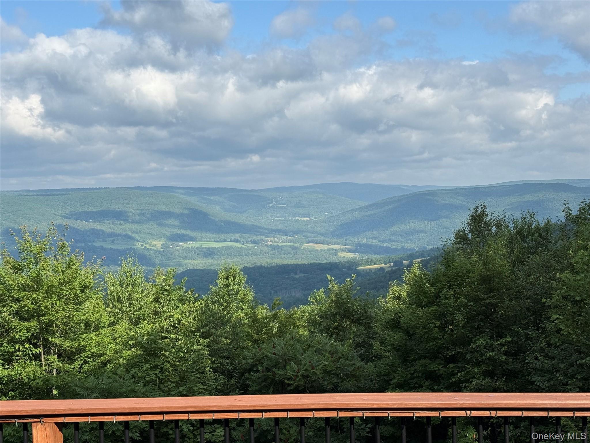 Single Family High Pine Meadows Rd, Middleburgh Ny Road Out Of Area, NY 12122, MLS-1033471-3