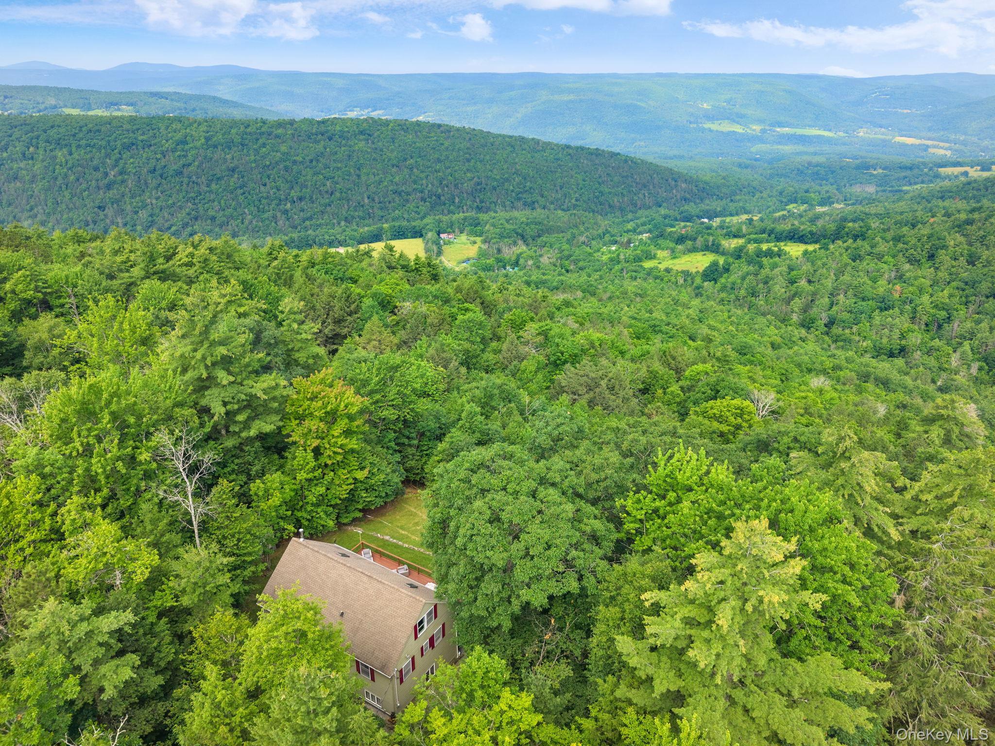Single Family High Pine Meadows Rd, Middleburgh Ny Road Out Of Area, NY 12122, MLS-1033471-4