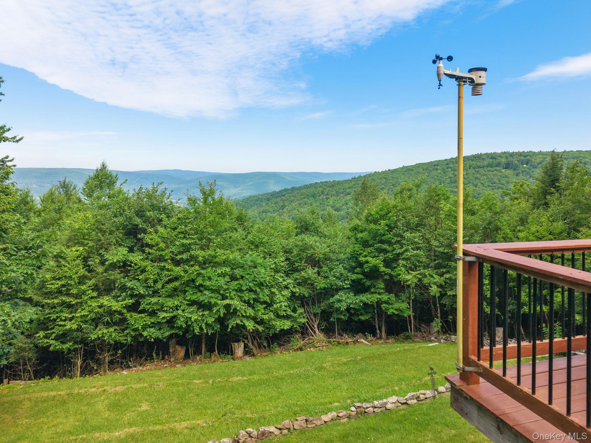 Single Family High Pine Meadows Rd, Middleburgh Ny Road Out Of Area, NY 12122, MLS-1033471-41
