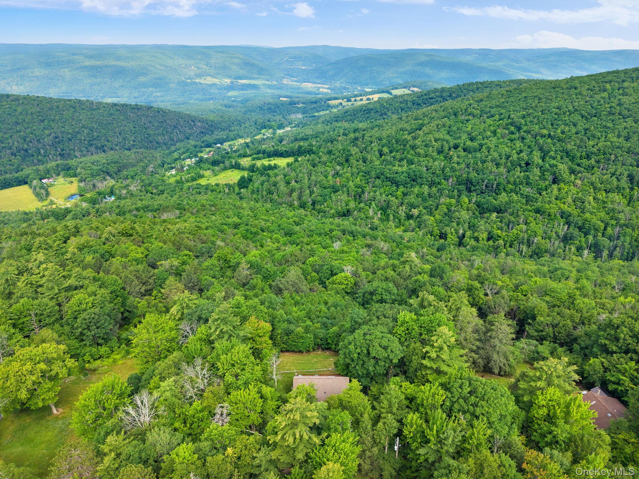 Single Family High Pine Meadows Rd, Middleburgh Ny Road Out Of Area, NY 12122, MLS-1033471-46