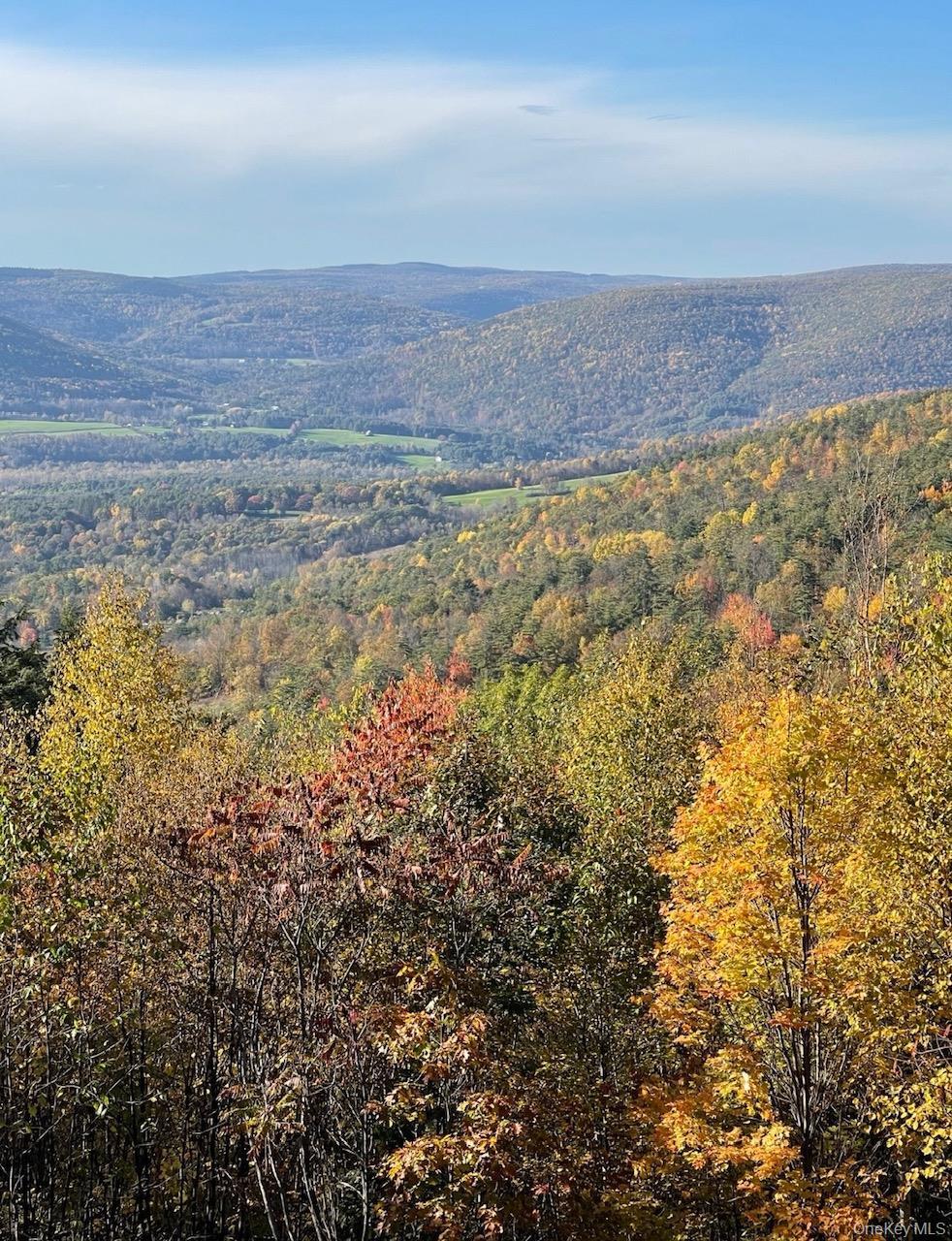 Single Family High Pine Meadows Rd, Middleburgh Ny Road Out Of Area, NY 12122, MLS-1033471-47