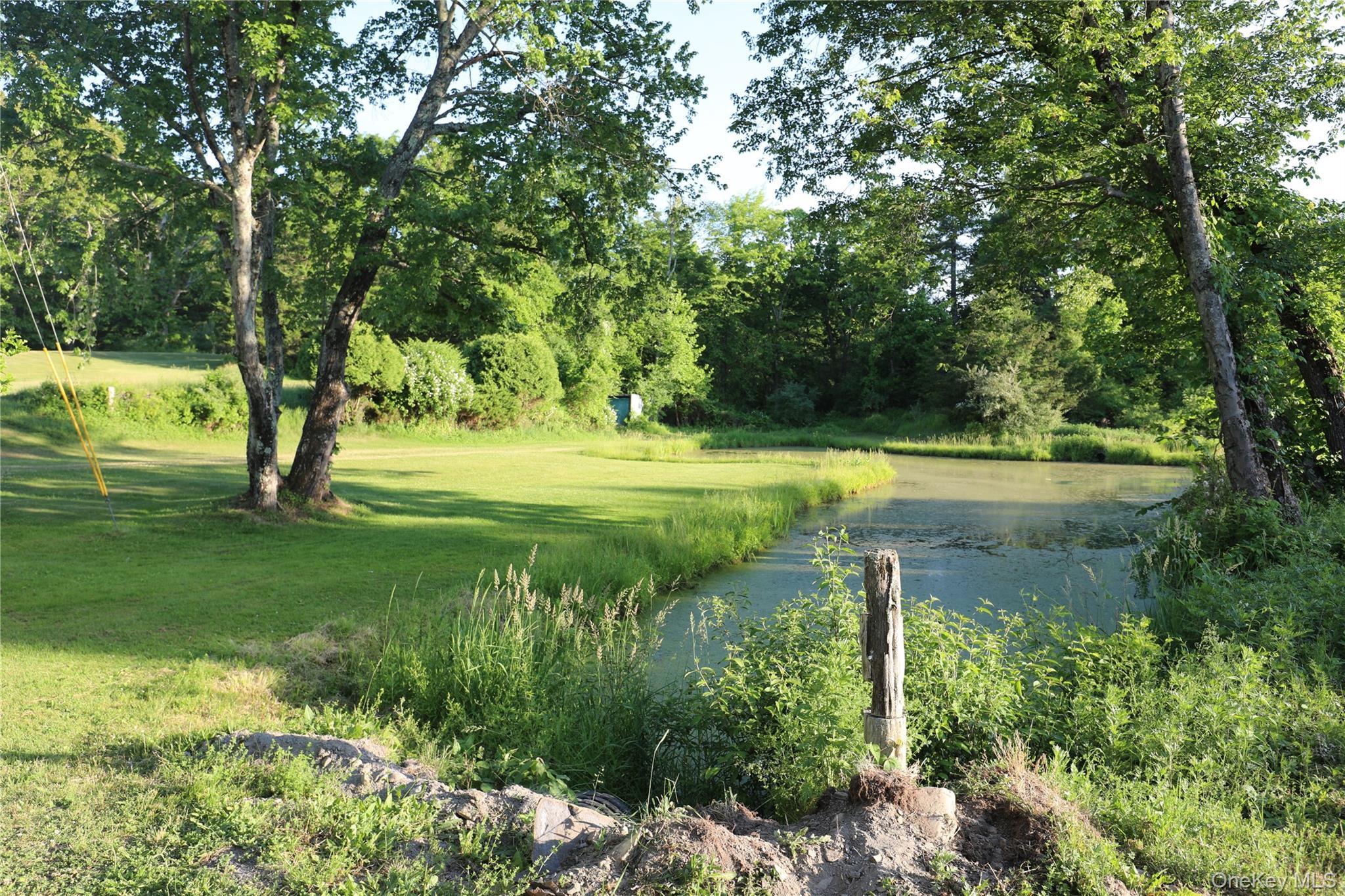Single Family Walton Lane Ulster County, NY 12443, MLS-1033501-20
