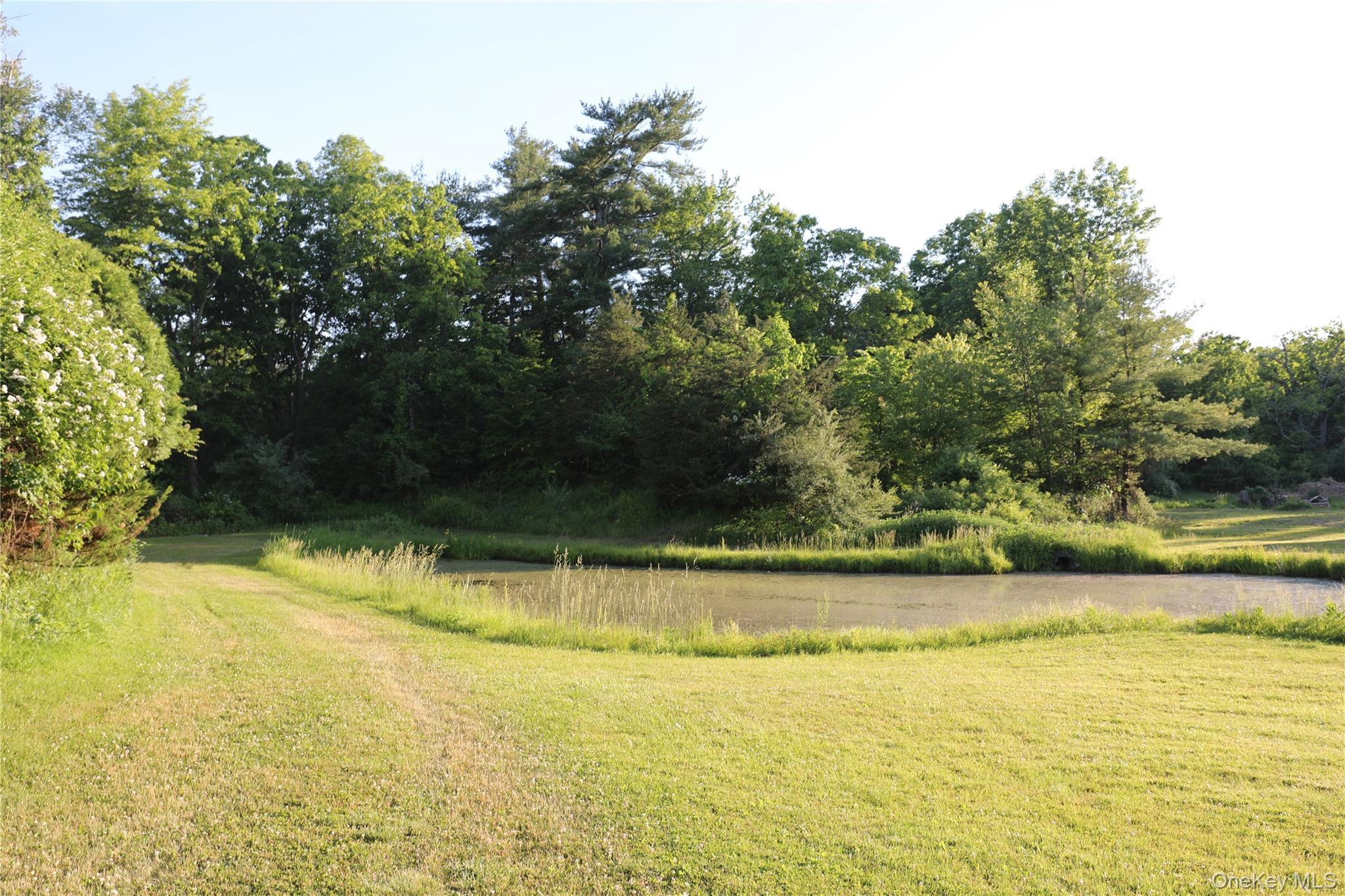 Single Family Walton Lane  Ulster County, NY 12443, MLS-1033501-22