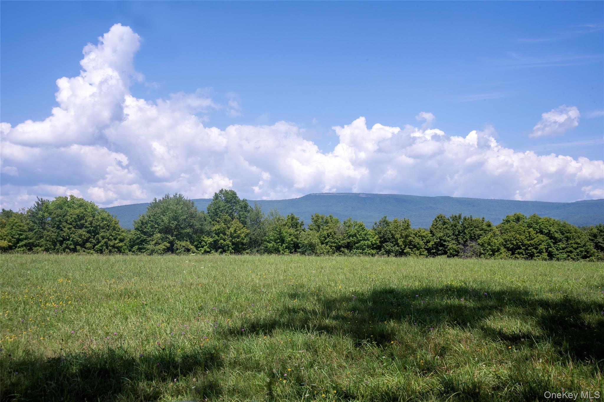 Single Family Pirog Road Ulster County, NY 12566, MLS-1033515-4