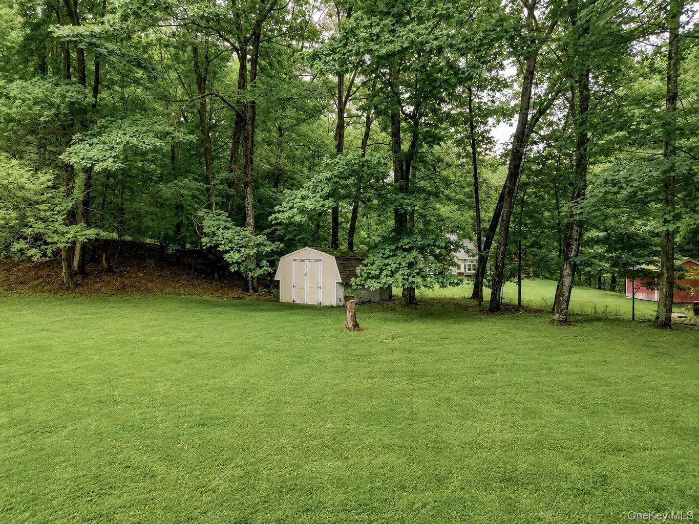 Single Family Nashopa Road Sullivan County, NY 12721, MLS-1033524-5
