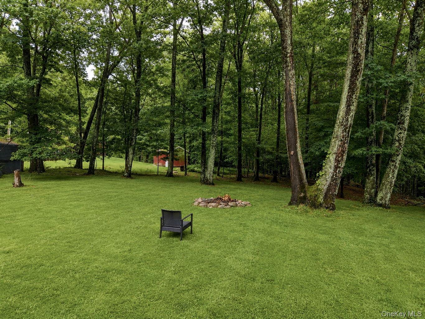 Single Family Nashopa Road Sullivan County, NY 12721, MLS-1033524-6