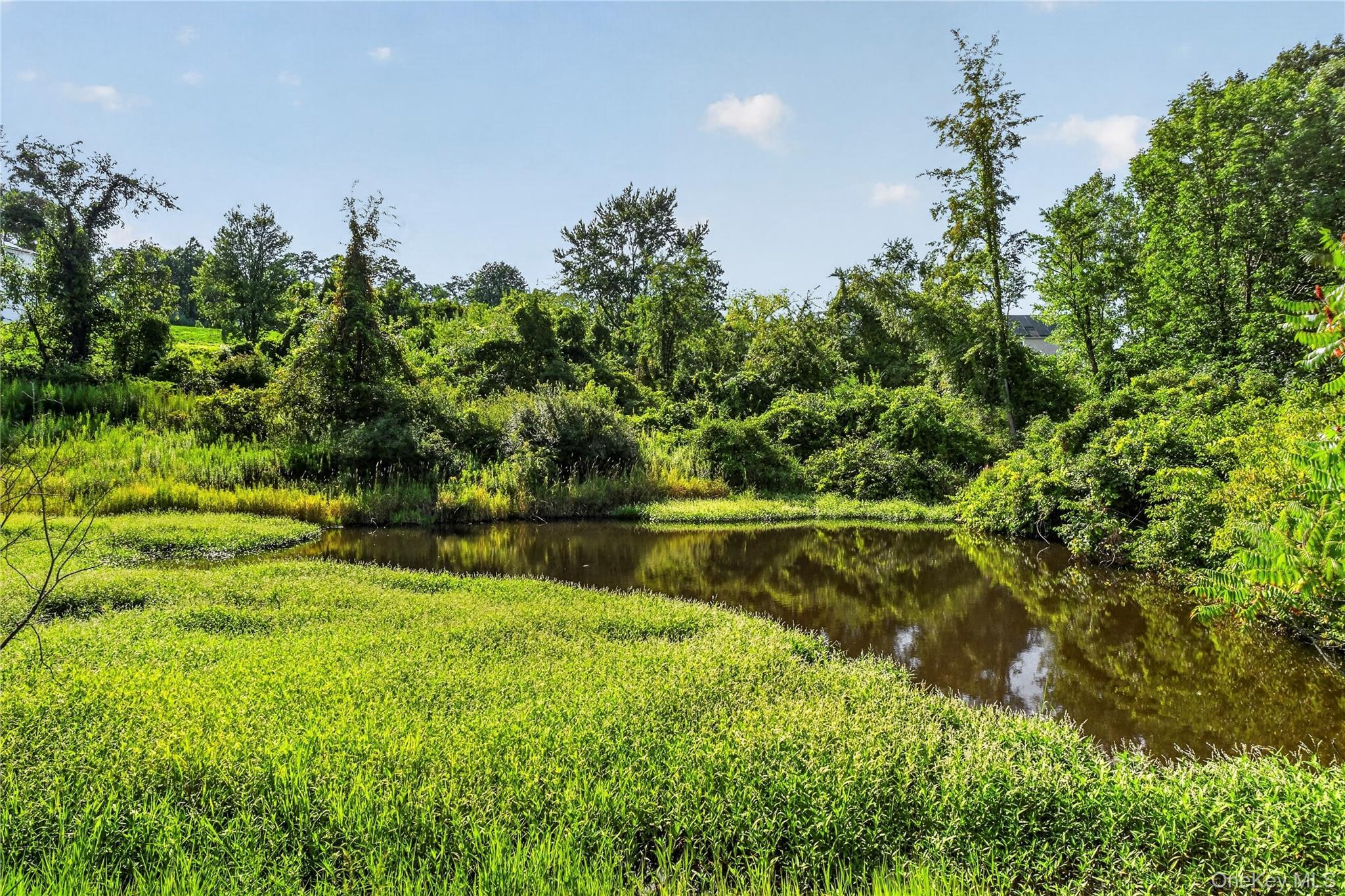 Single Family Bills Lane Ulster County, NY 12547, MLS-1033538-41