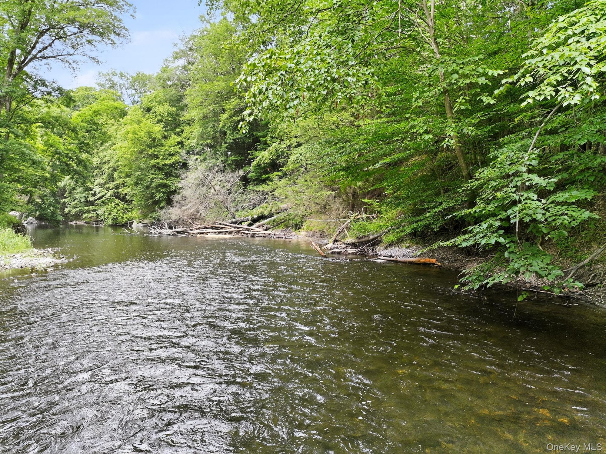 Single Family Jackson Corners Road  Columbia County, NY 12571, MLS-1033554-23