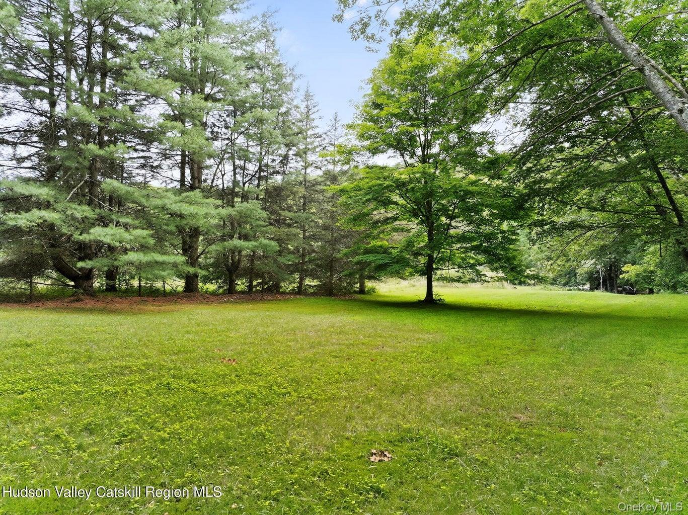 Single Family Jackson Corners Road  Columbia County, NY 12571, MLS-1033554-44