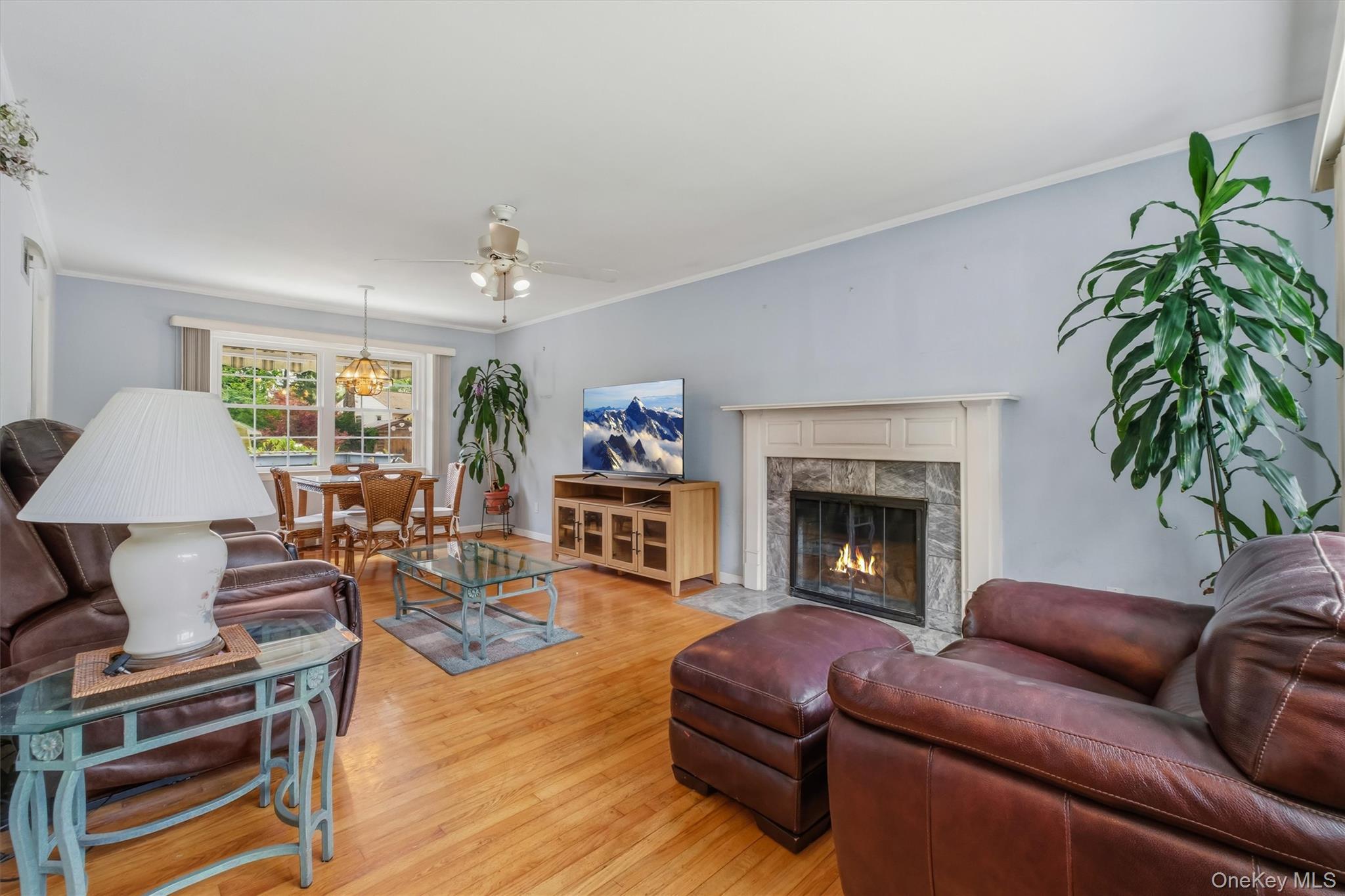 Single Family Broadview Road Dutchess County, NY 12603, MLS-1033564-10