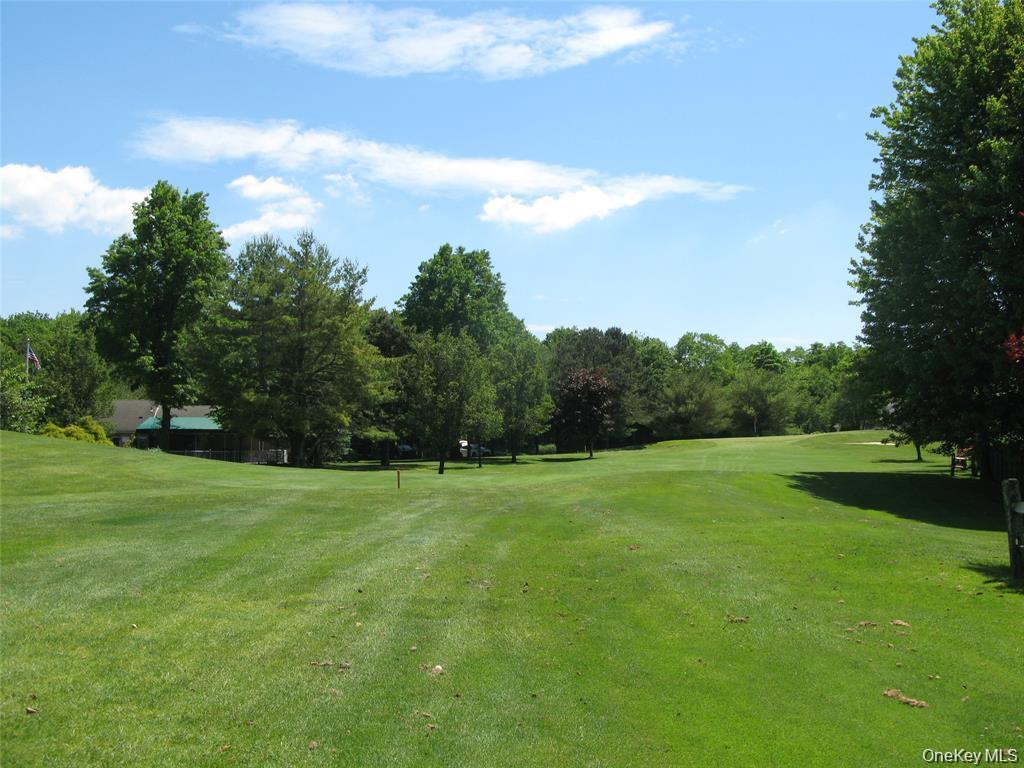 Single Family Birchwood Park Drive  Suffolk County, NY 11953, MLS-1033609-32