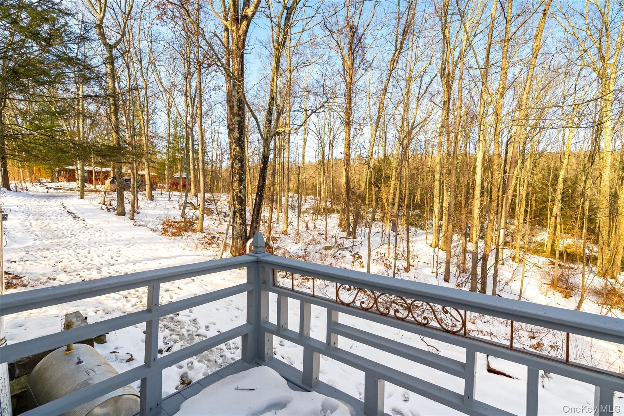 Single Family Fern Trail Sullivan County, NY 12790, MLS-1033679-15