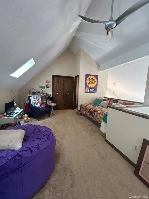 Single Family Lakeview Terrace  Sullivan County, NY 12701, MLS-1033705-10