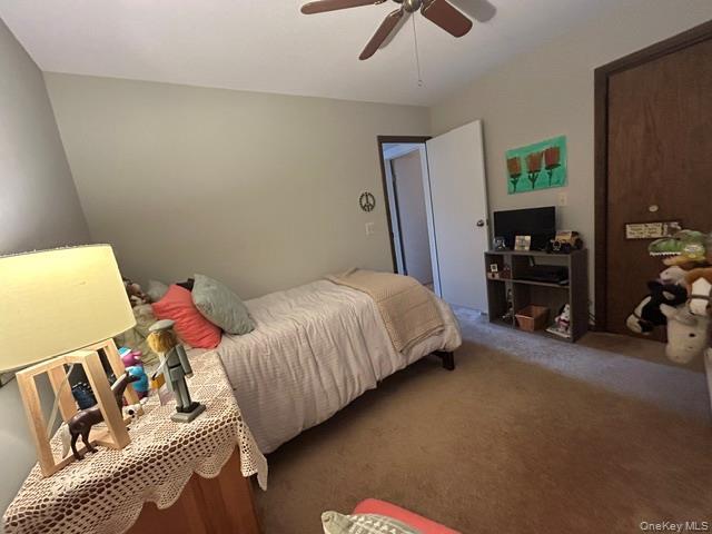 Single Family Lakeview Terrace  Sullivan County, NY 12701, MLS-1033705-13