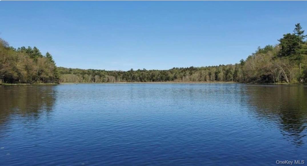 Single Family Lakeview Terrace  Sullivan County, NY 12701, MLS-1033705-21