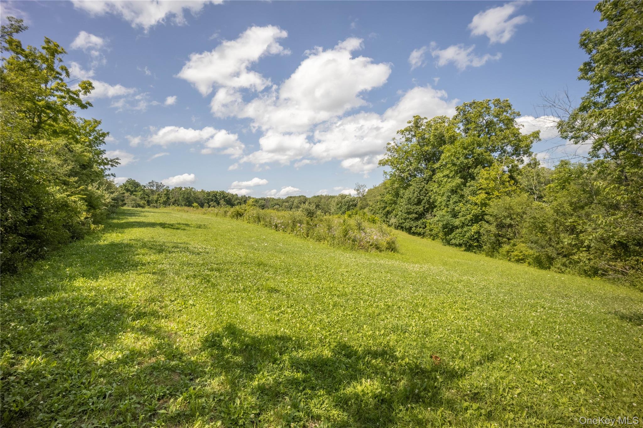 Single Family Lauer Road  Dutchess County, NY 12603, MLS-1033717-24
