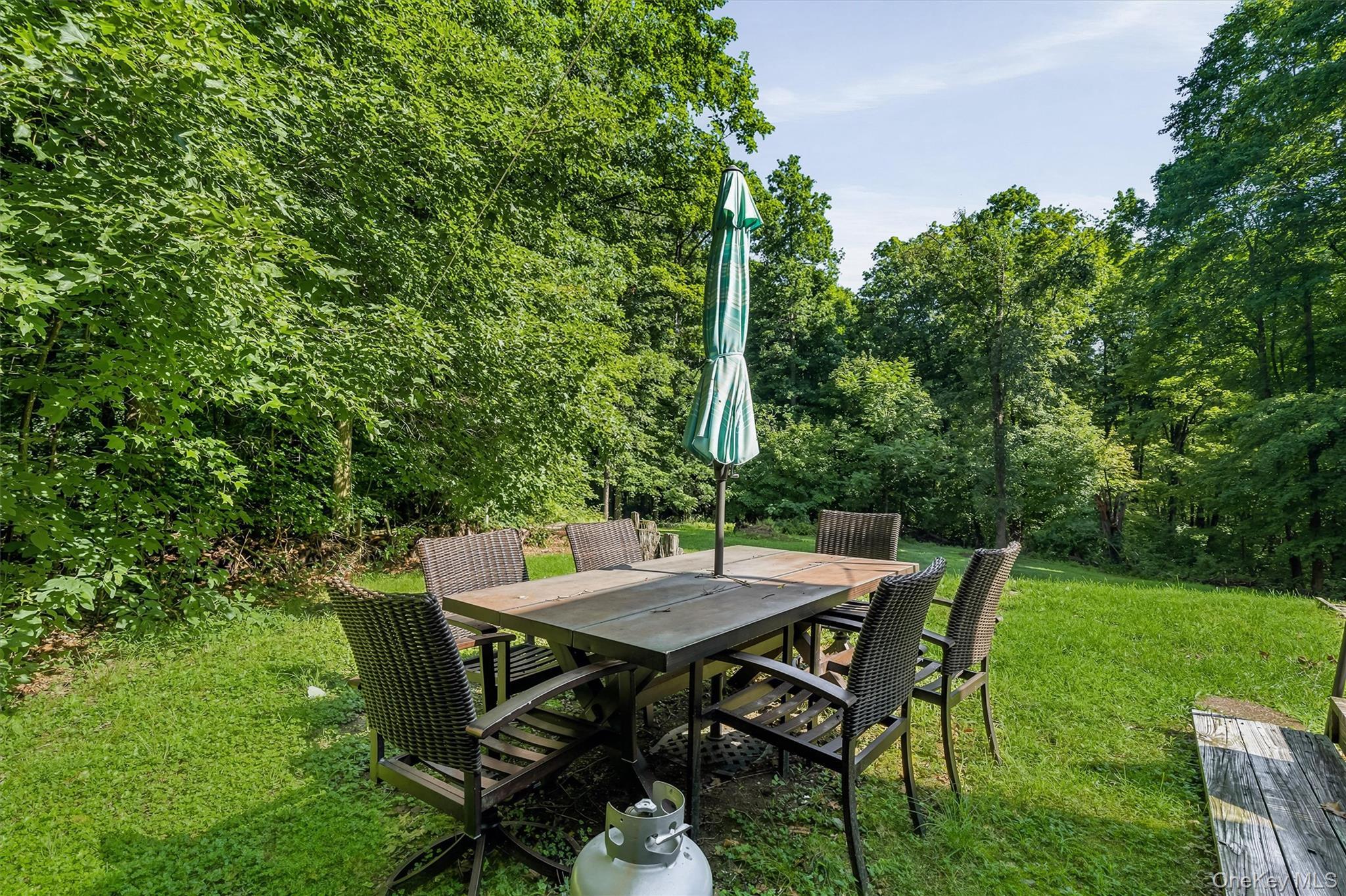 Single Family Whitetail Run  Orange County, NY 10918, MLS-1033721-43