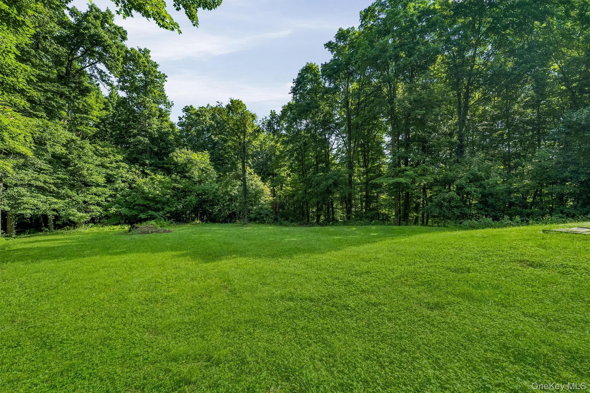 Single Family Whitetail Run  Orange County, NY 10918, MLS-1033721-45