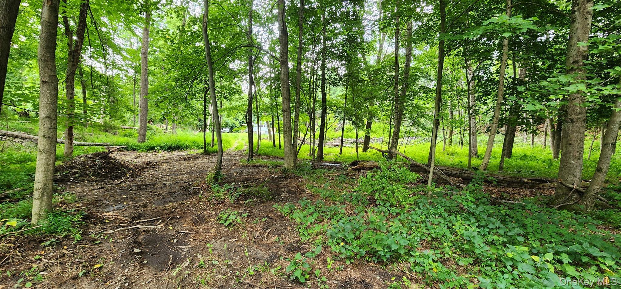 Single Family Darraugh Lane Orange County, NY 12780, MLS-1033831-11
