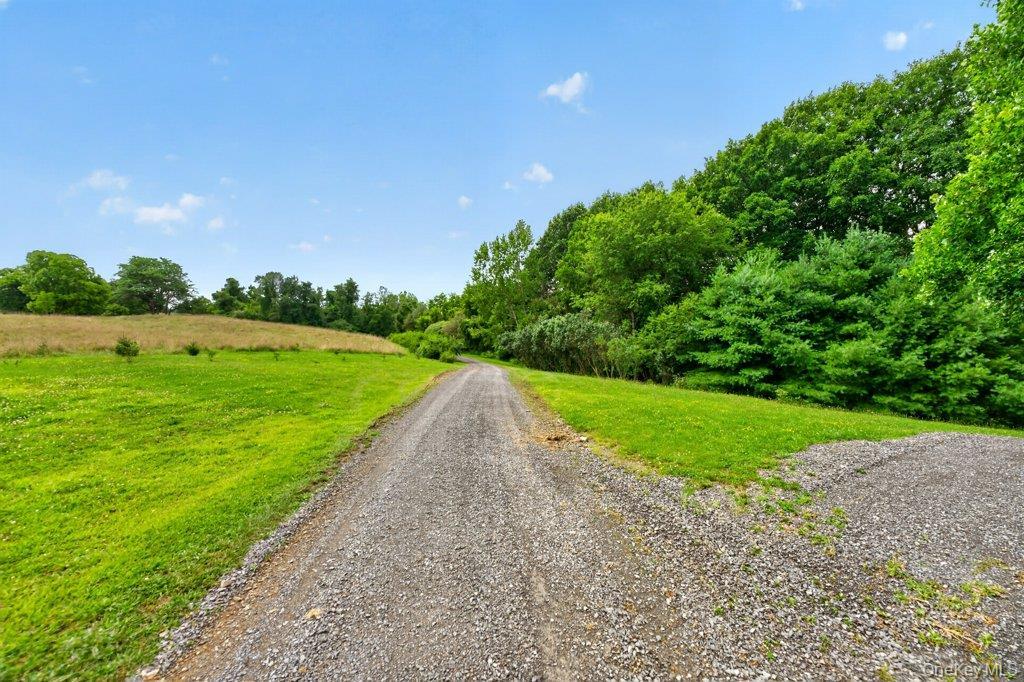 Single Family State Route 203  Columbia County, NY 12184, MLS-1033838-3