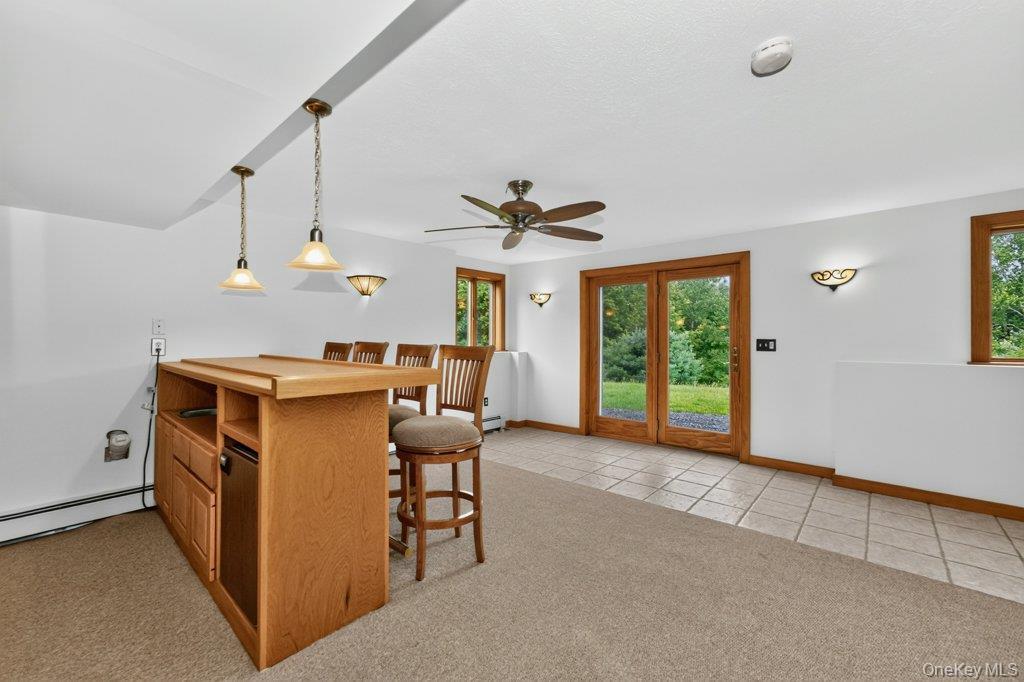 Single Family State Route 203  Columbia County, NY 12184, MLS-1033838-30