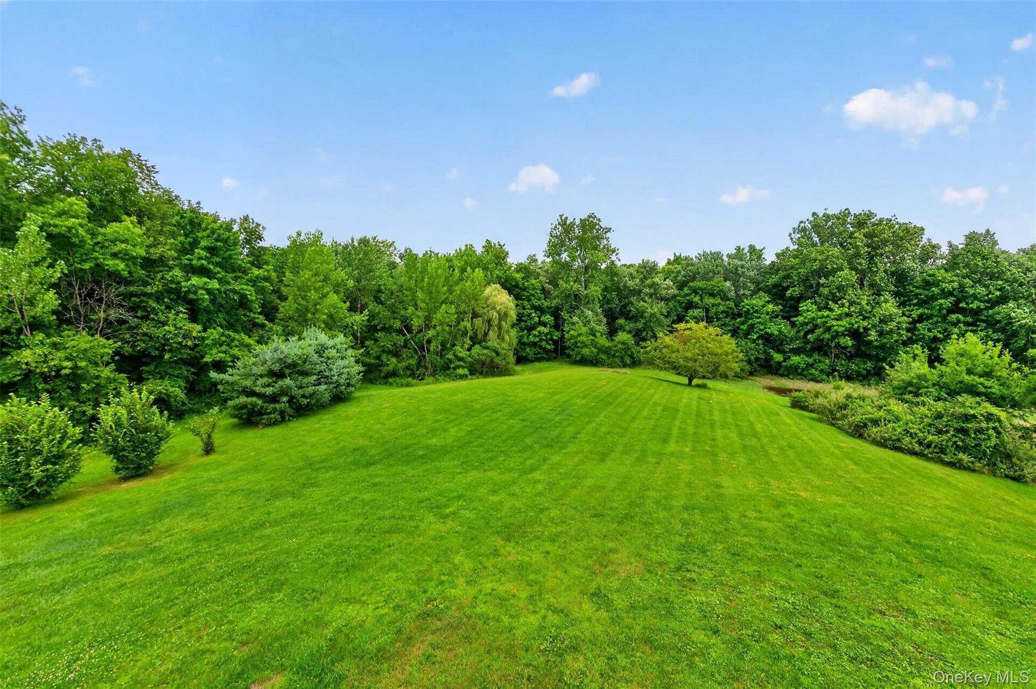 Single Family State Route 203  Columbia County, NY 12184, MLS-1033838-38