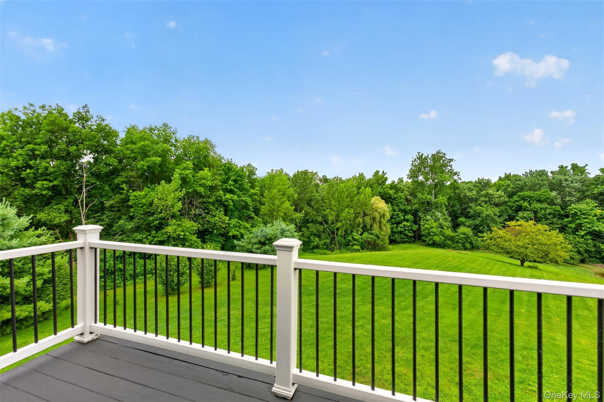 Single Family State Route 203  Columbia County, NY 12184, MLS-1033838-8