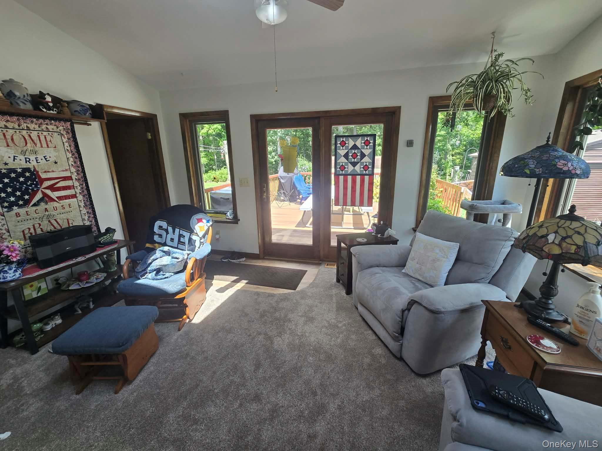 Single Family Green Lane Orange County, NY 10973, MLS-1033842-10
