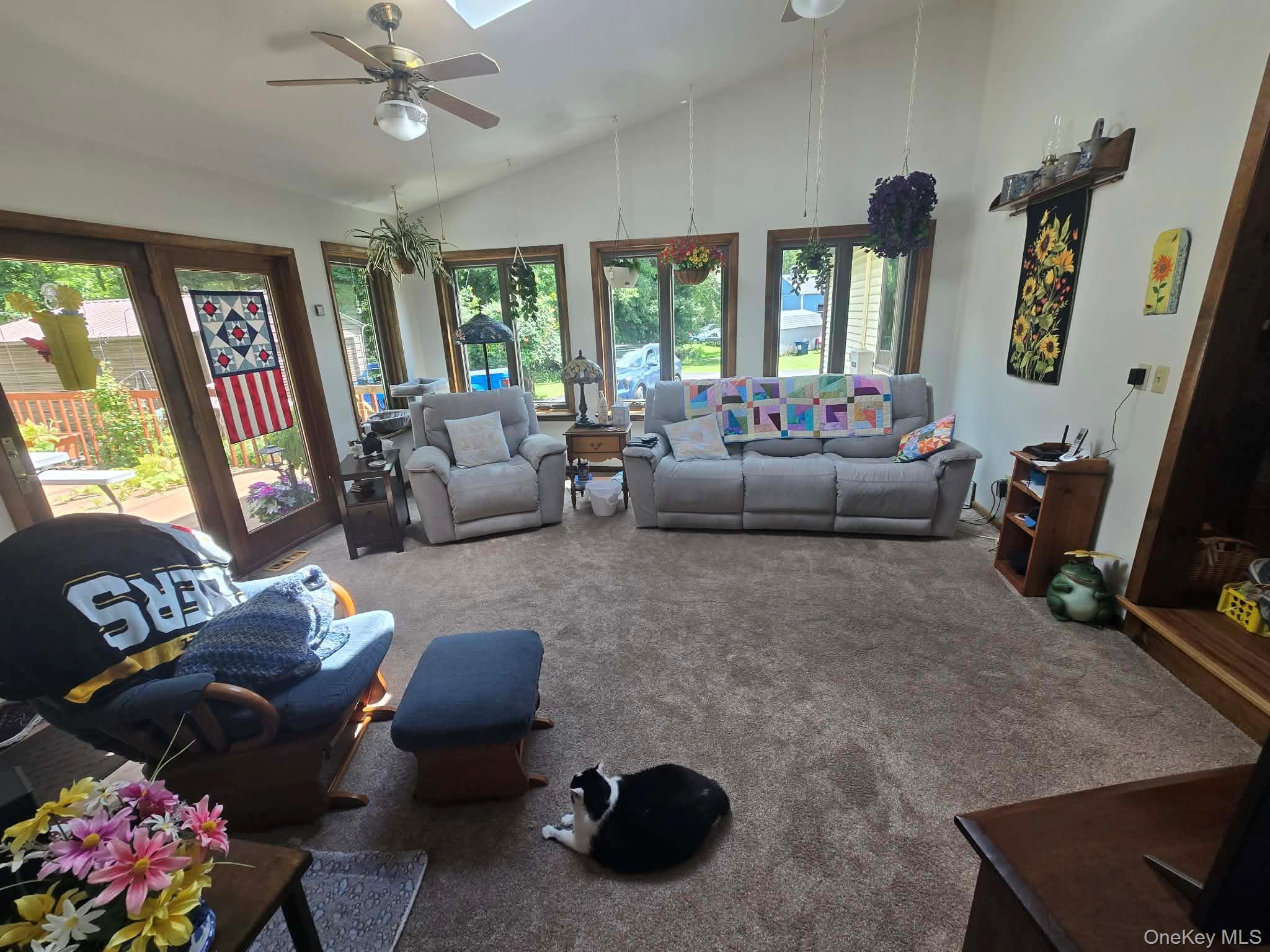 Single Family Green Lane Orange County, NY 10973, MLS-1033842-11