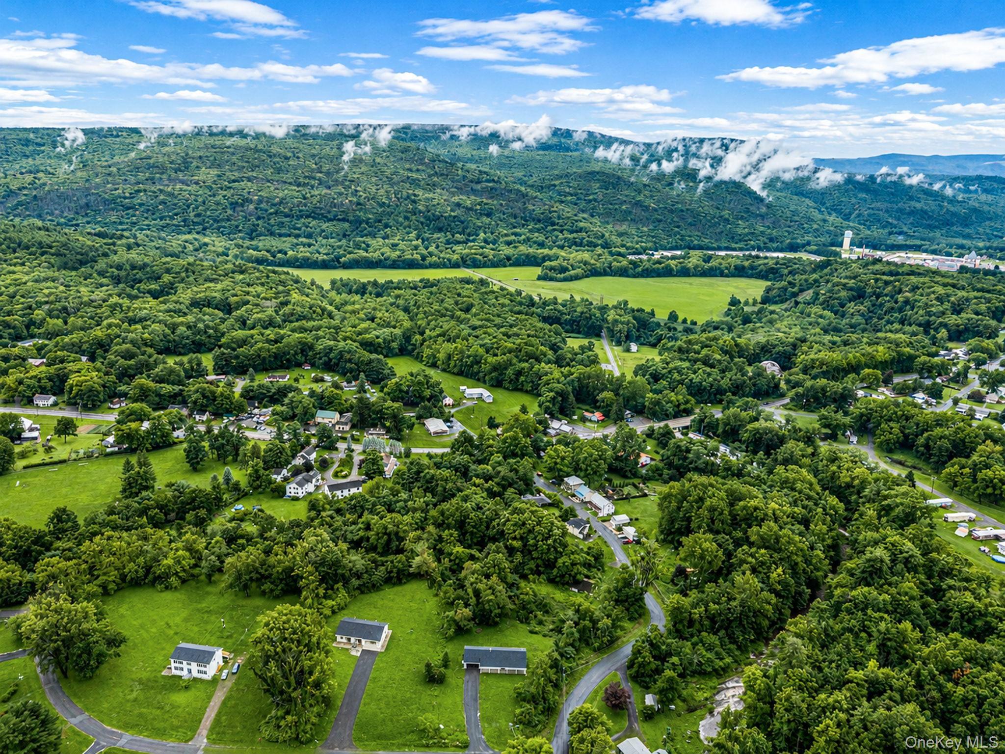 Single Family Vernooy Drive Ulster County, NY 12489, MLS-1033877-27
