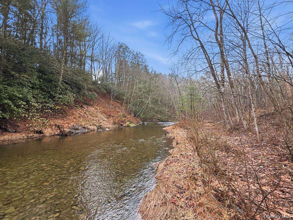 Single Family Vernooy Drive Ulster County, NY 12489, MLS-1033877-28