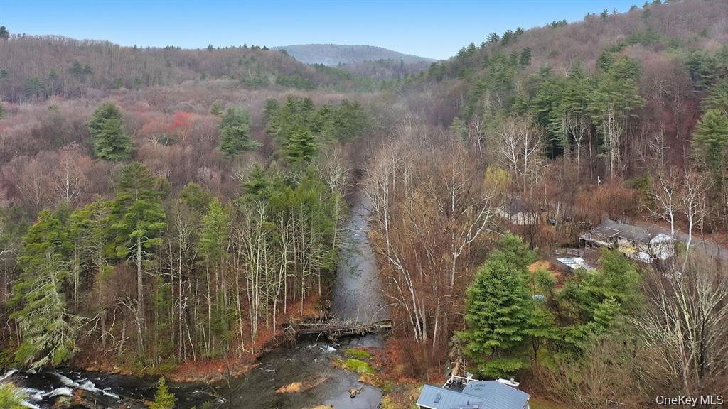 Single Family Vernooy Drive  Ulster County, NY 12489, MLS-1033877-29