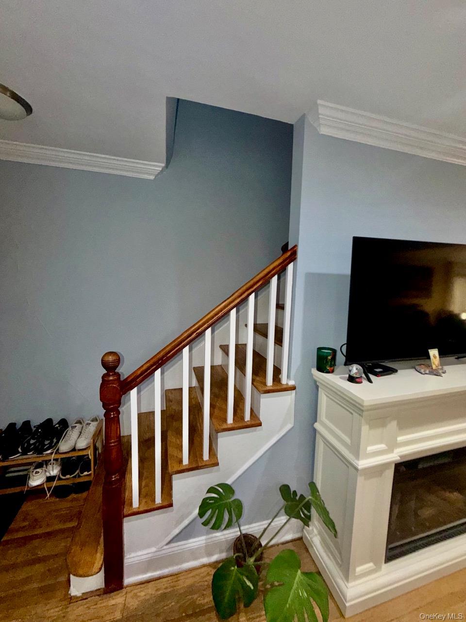 Single Family Seymour Avenue  Bronx, NY 10469, MLS-1033880-5