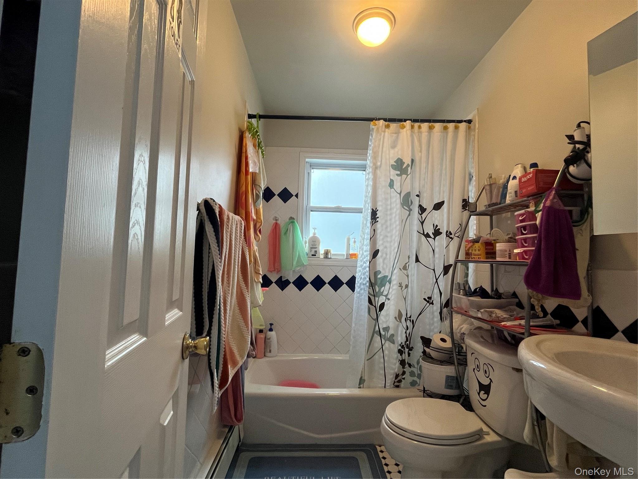 Single Family 251st Street Queens, NY 11426, MLS-1033887-10