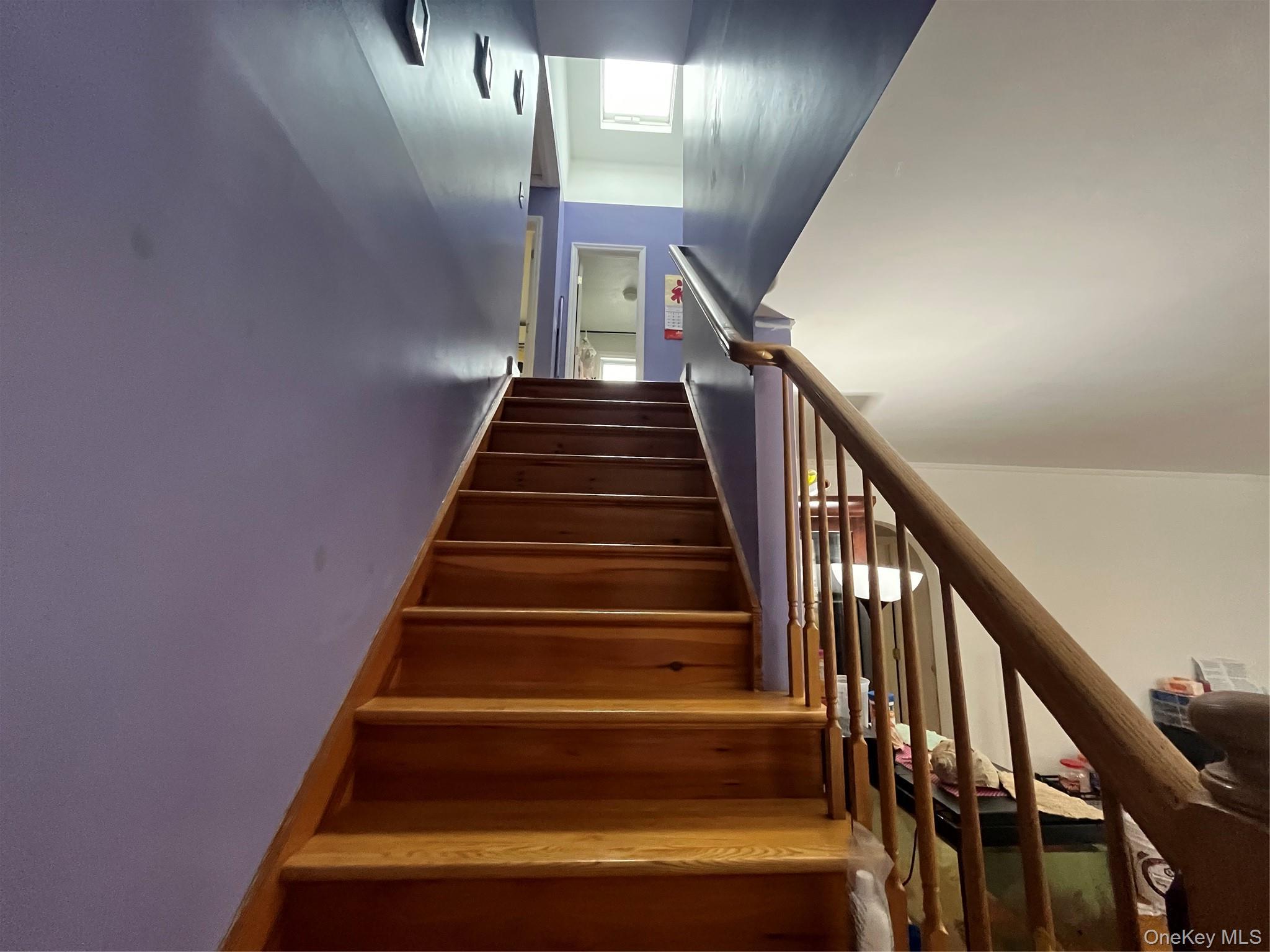 Single Family 251st Street Queens, NY 11426, MLS-1033887-9