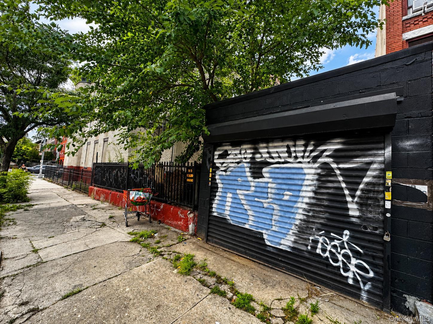 Single Family Mother Gaston Boulevard Brooklyn, NY 11233, MLS-1033888-3