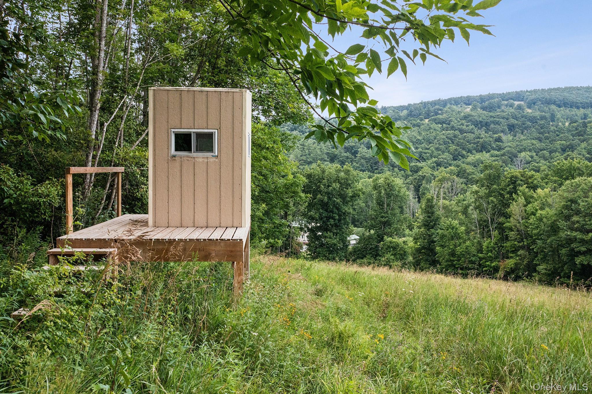 Single Family Mary Taylor Road Out Of Area, NY 12122, MLS-1033943-28