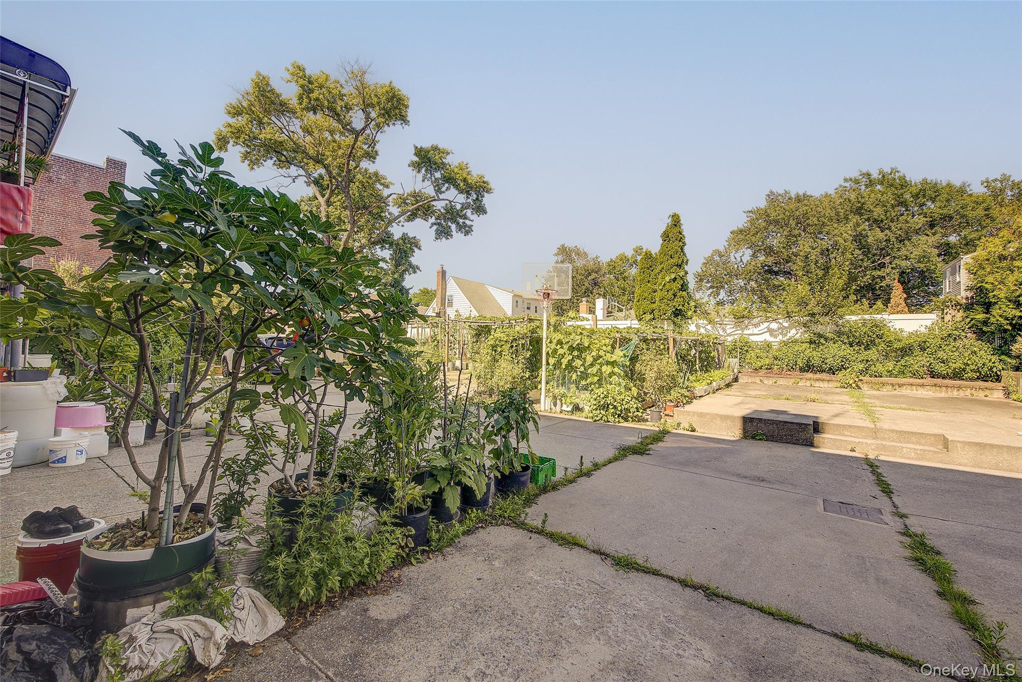 Single Family 207th Street Queens, NY 11364, MLS-1033964-35