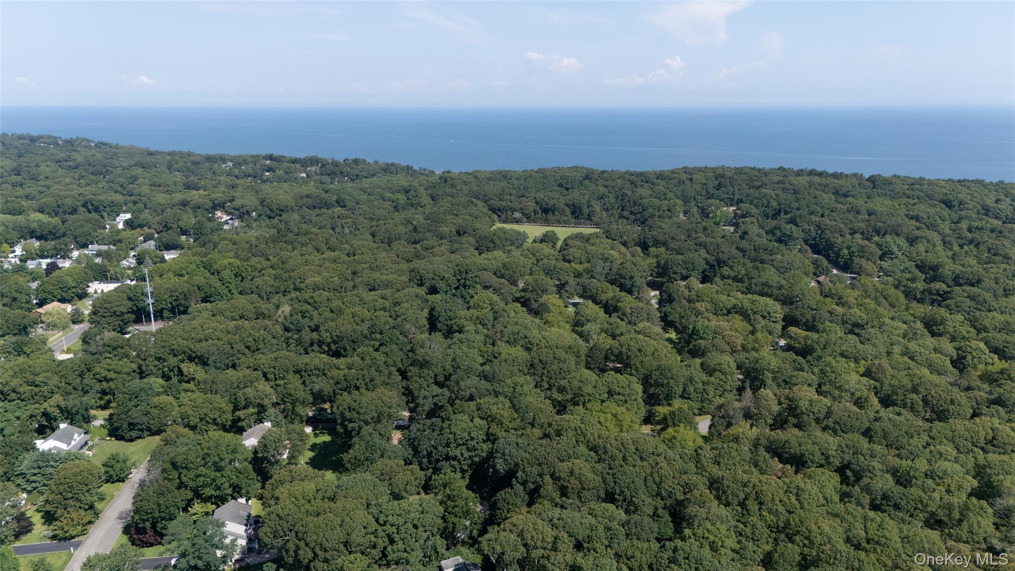 Single Family Fire Lane  Suffolk County, NY 11792, MLS-1034015-41