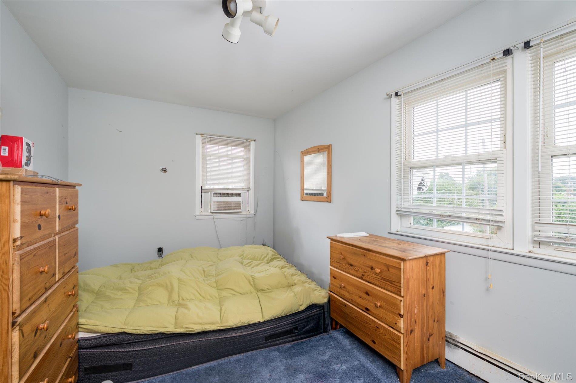 Single Family Ruth Place Nassau County, NY 11710, MLS-1034022-11