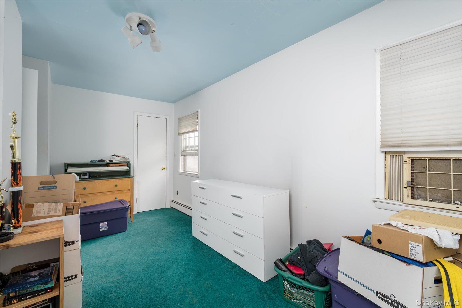 Single Family Ruth Place Nassau County, NY 11710, MLS-1034022-9