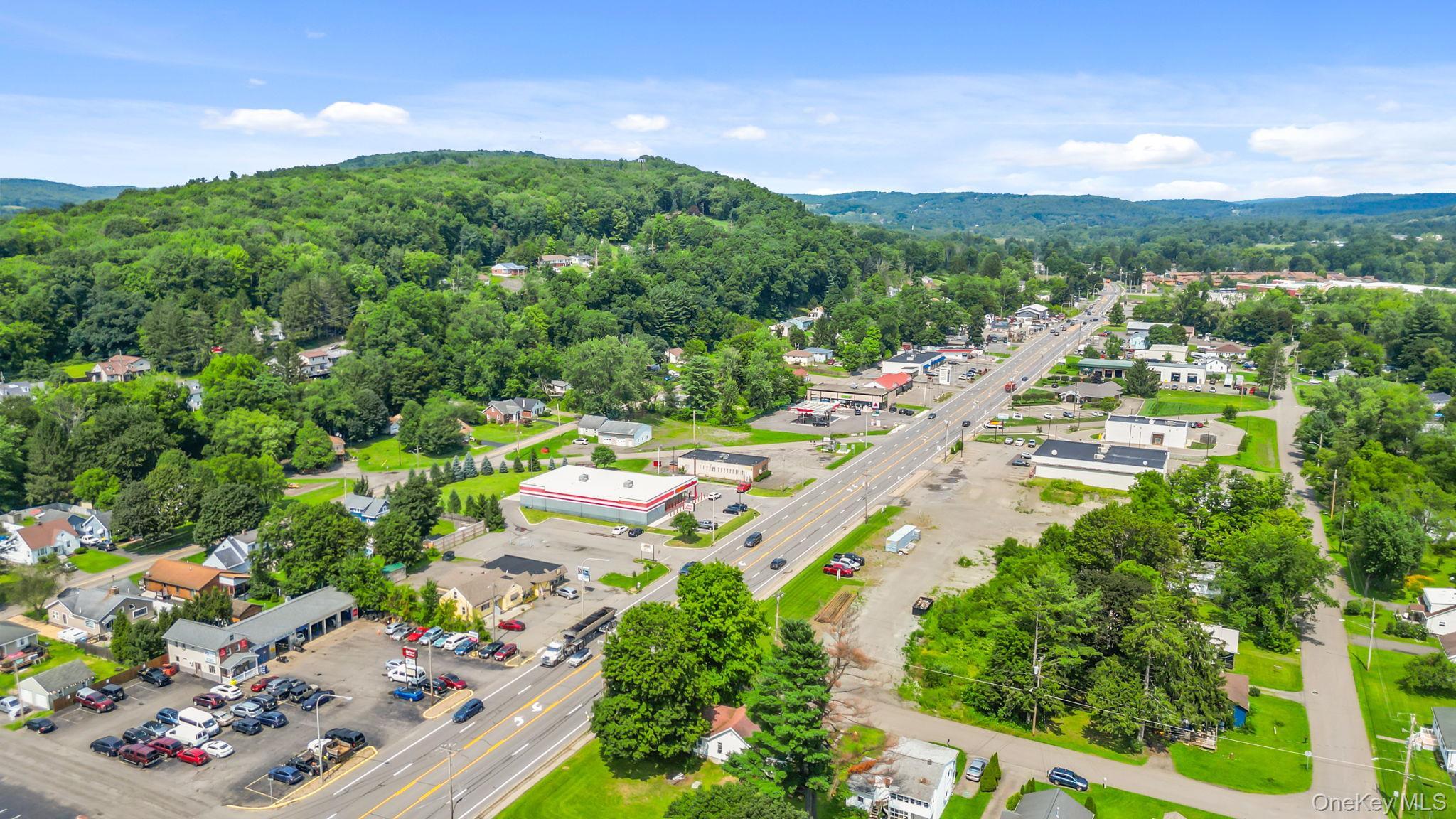 Single Family Carmichael Road  Broome County, NY 13901, MLS-1034085-9