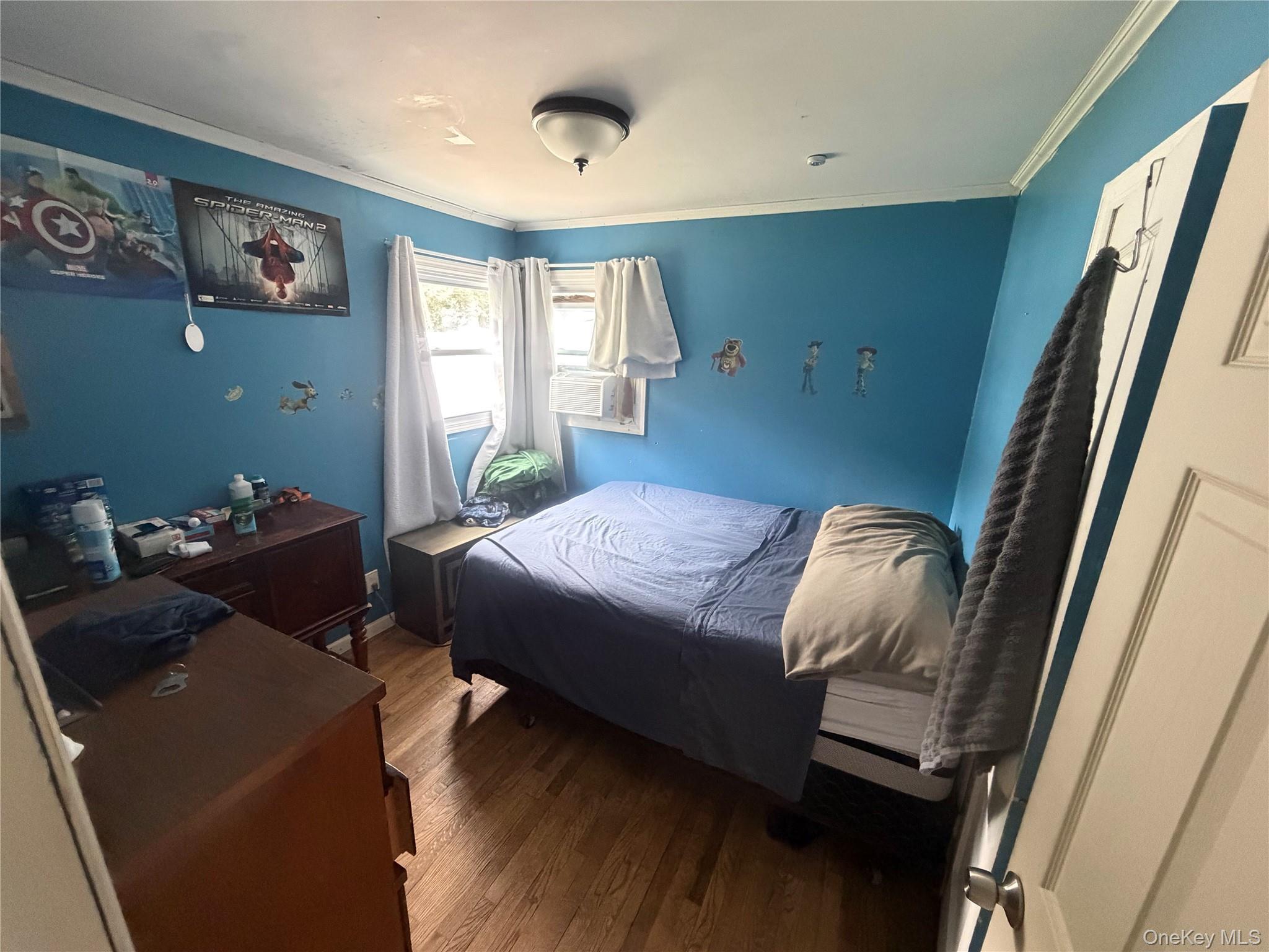 Single Family Adams Street Nassau County, NY 11003, MLS-1034086-6