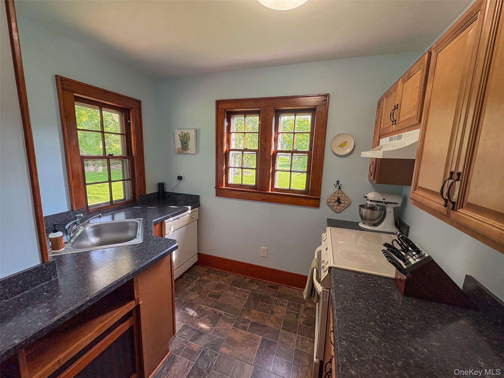 Single Family Route 209 Ulster County, NY 12428, MLS-1034113-10