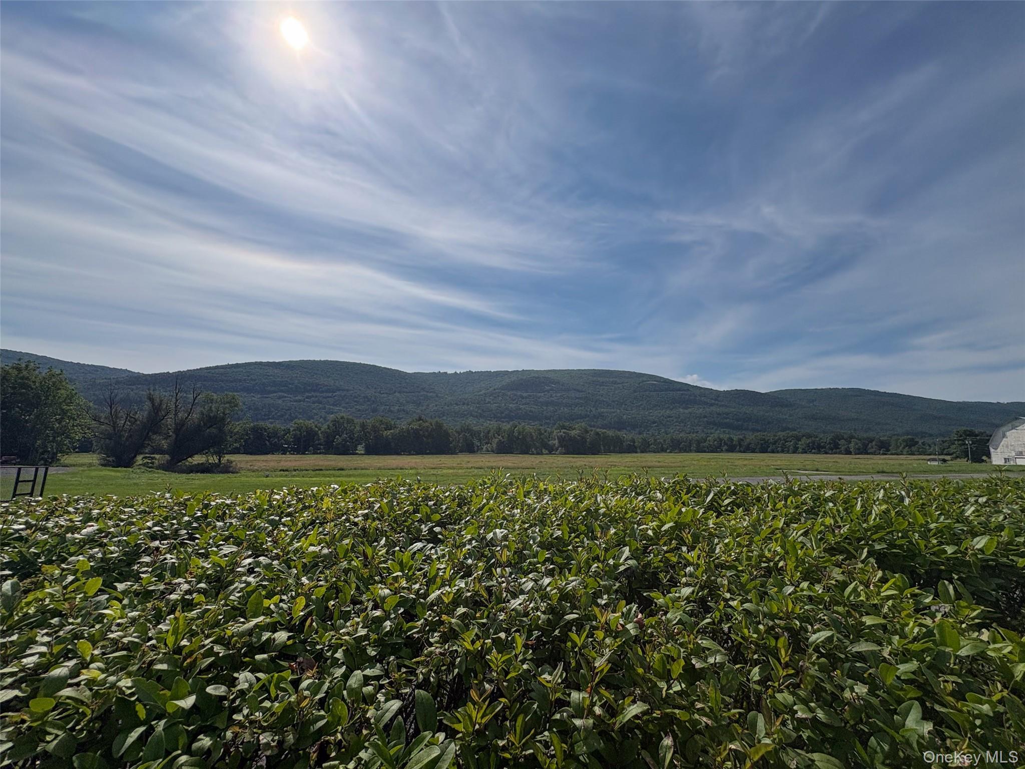 Single Family Route 209 Ulster County, NY 12428, MLS-1034113-2