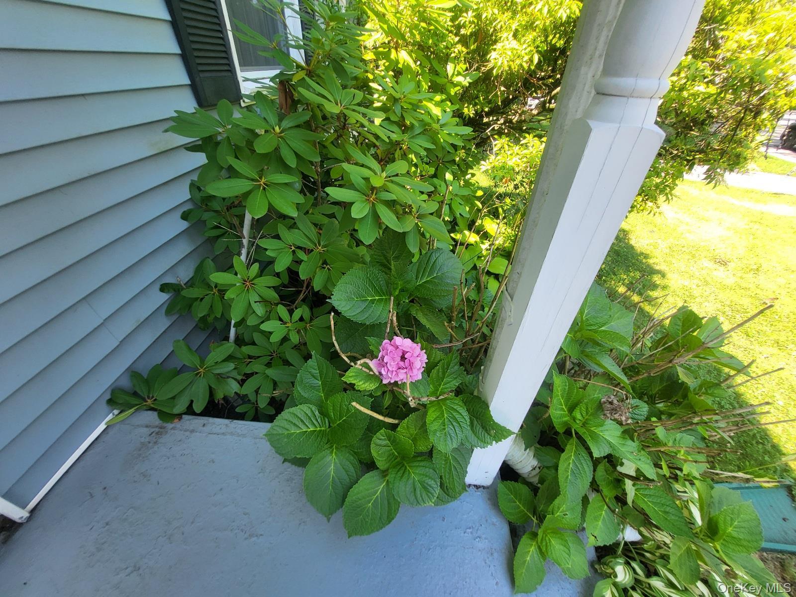 Single Family Vanamee Street  Orange County, NY 12550, MLS-1034149-6
