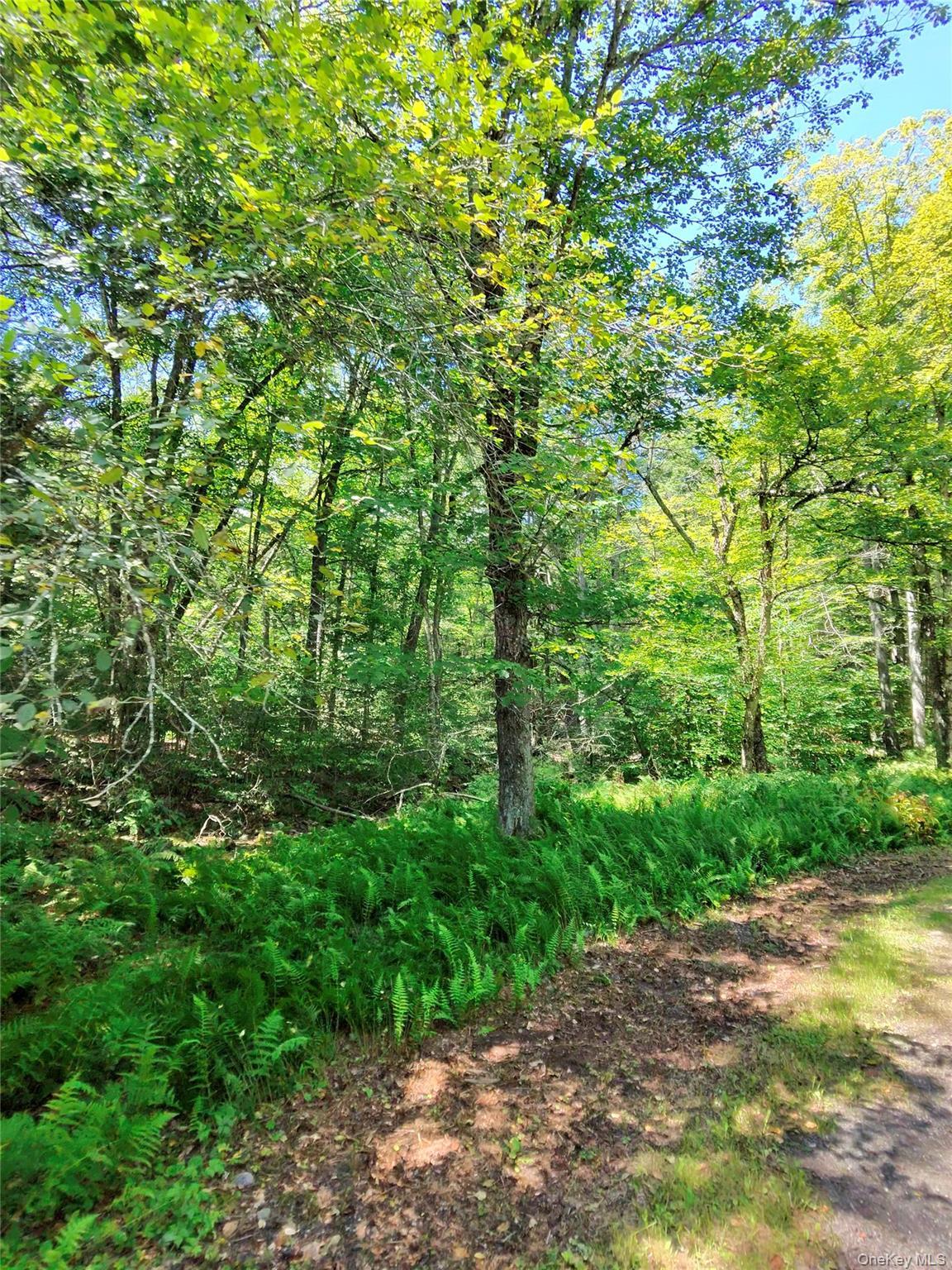 Single Family Denning Road  Ulster County, NY 12725, MLS-1034153-48