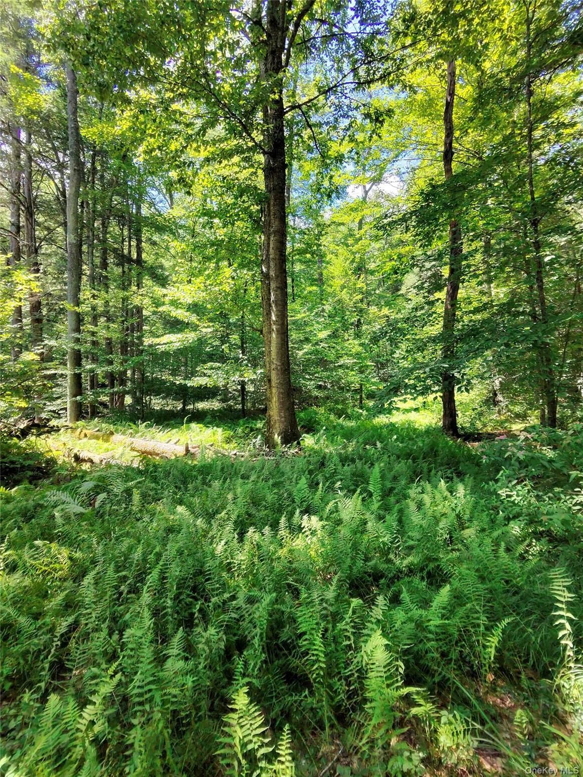 Single Family Denning Road  Ulster County, NY 12725, MLS-1034153-49