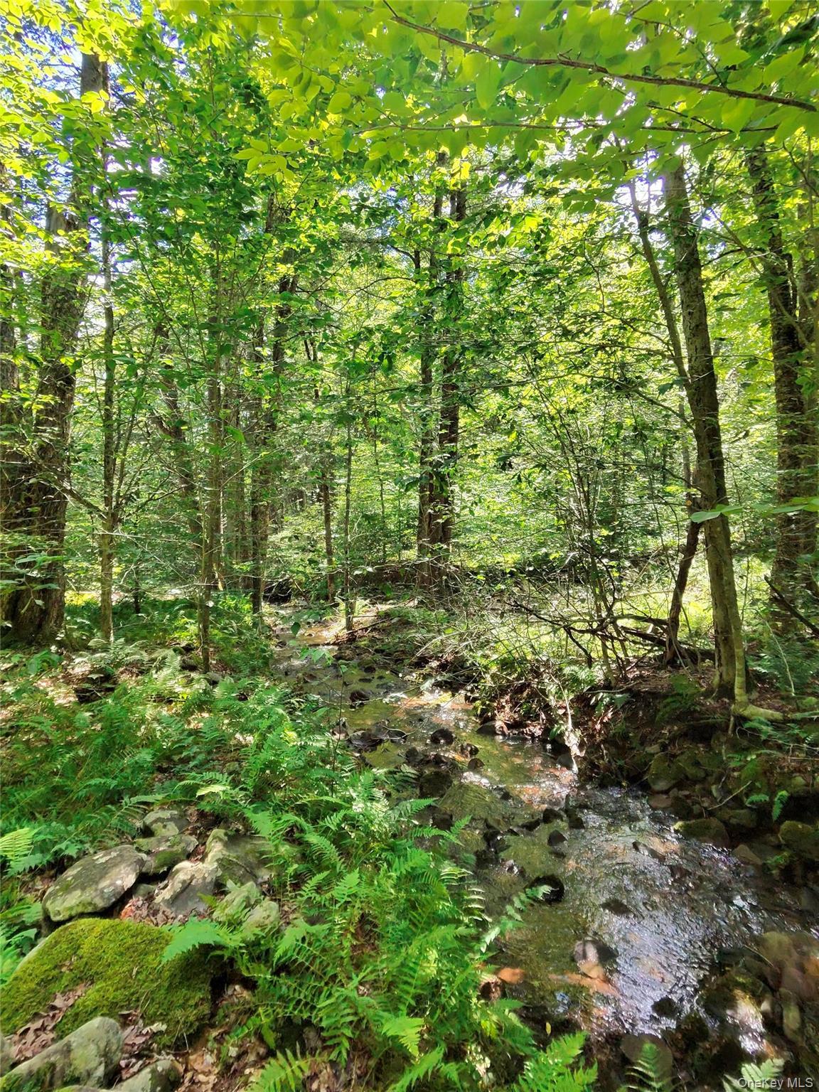 Single Family Denning Road  Ulster County, NY 12725, MLS-1034153-50